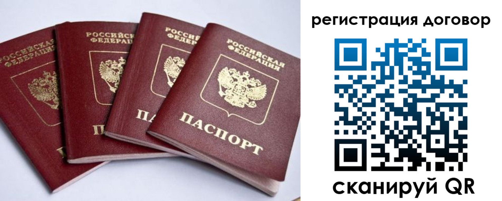 прописка поиск в Калуге